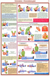 ПС02 Оказание первой помощи пострадавшим (бумага, А2, 6 листов) - Плакаты - Медицинская помощь - магазин "Охрана труда и Техника безопасности"